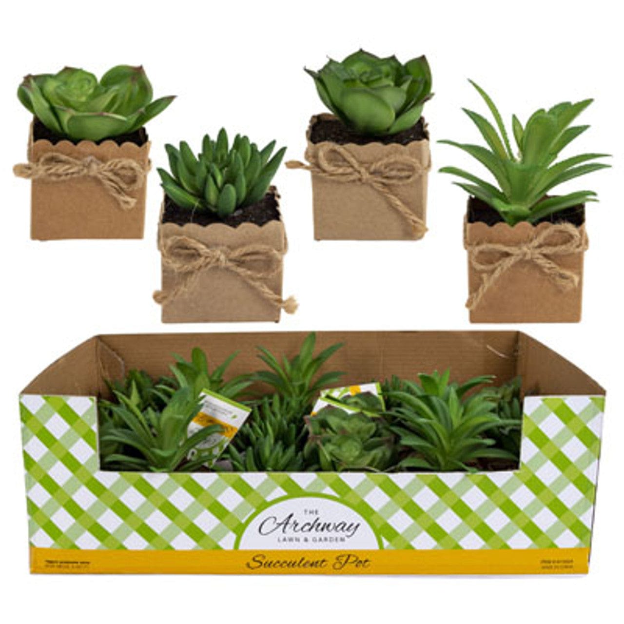 The Archway Faux Planters SUCCULENT MINI IN PAPER WRAPPED POT W/TWINE BOW SUCCULENT MINI IN PAPER WRAPPED POT W/TWINE BOW